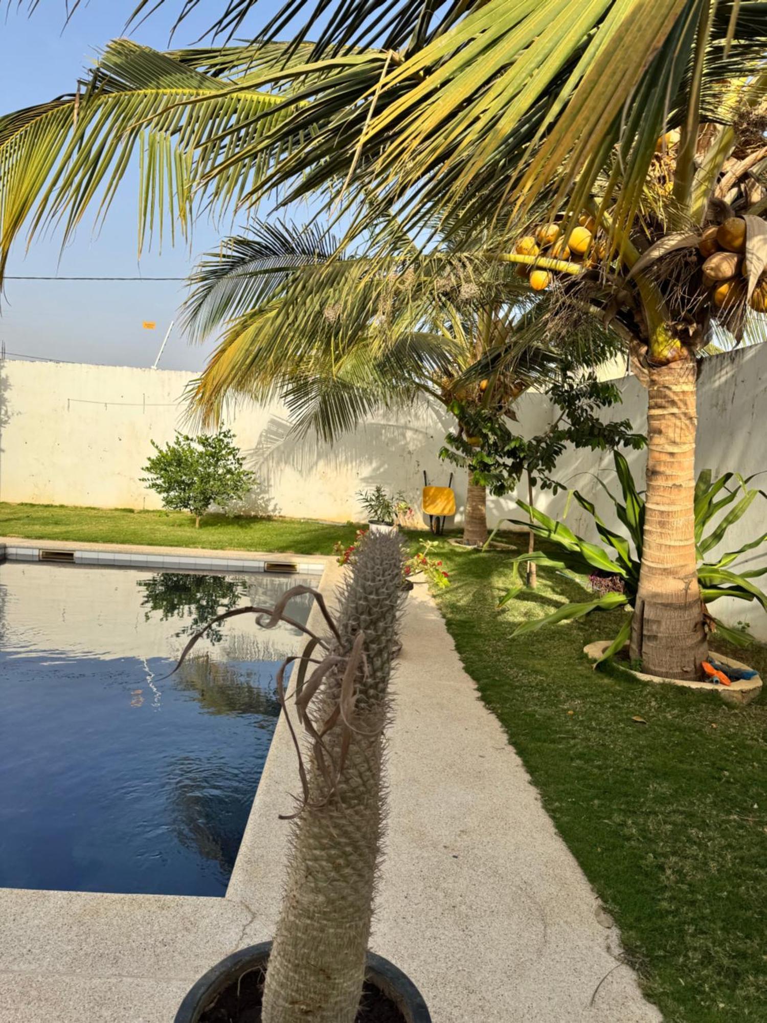 La Baraka, Extravagant Villa For 8 With Pool In Saly Gandigal Экстерьер фото
